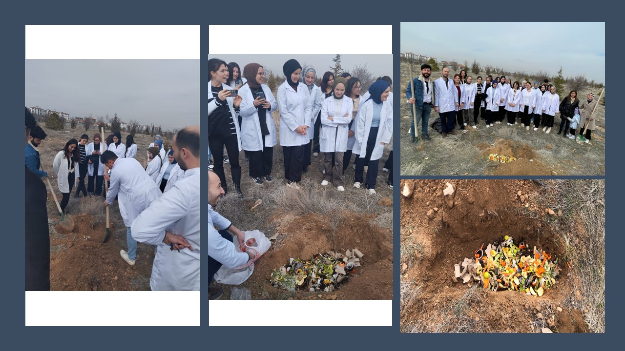 Compost Production from Domestic Waste