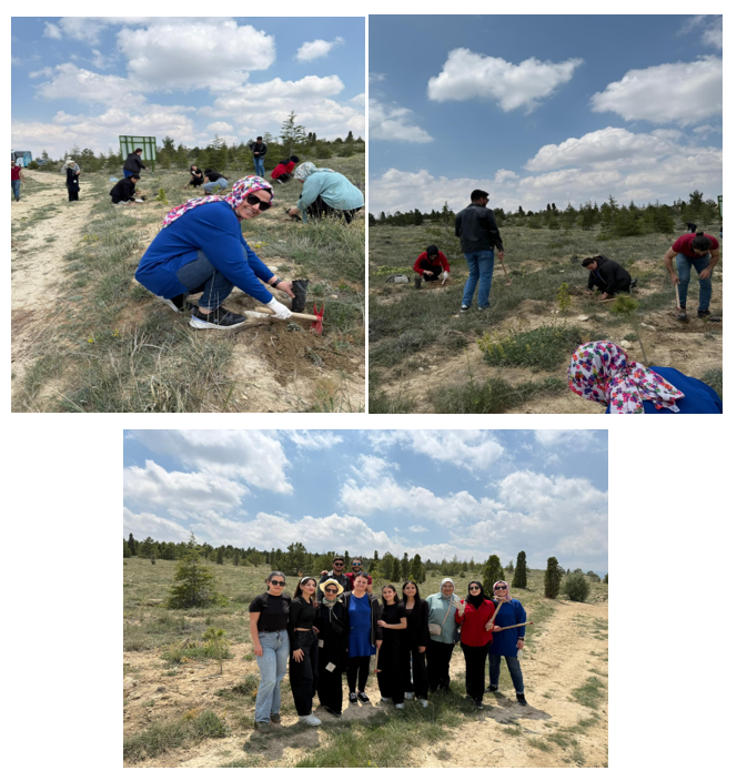 Ağaç Dikme Etkinliği