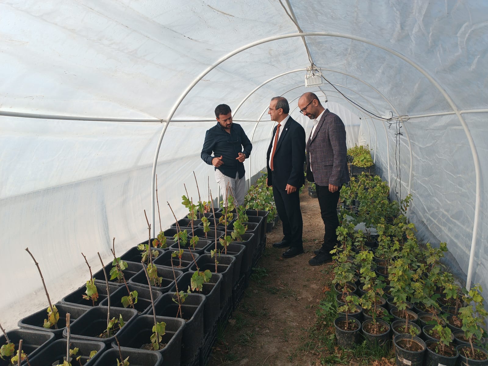 A high tunnel greenhouse has been established at our faculty.