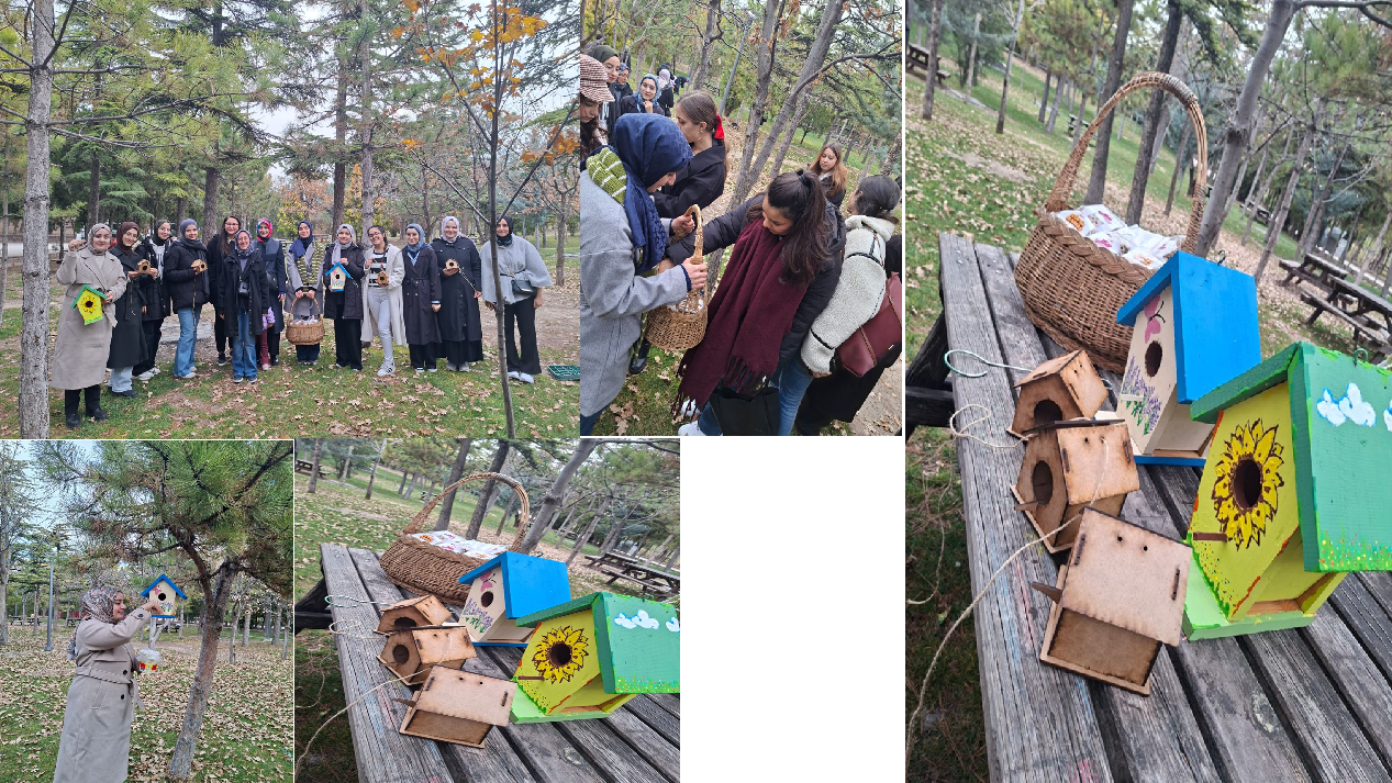 With a Bowl of Love, We Became Hope for Our Furry Friends