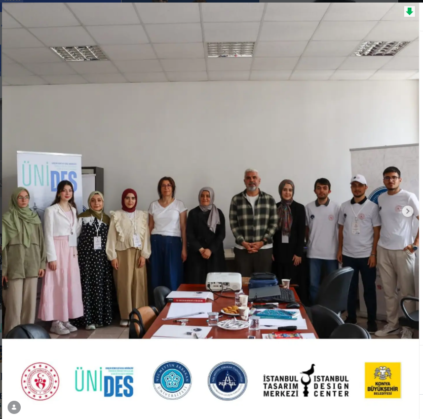 Islamic Geometric Heritage Transferred to the Digital Environment Through the UNIDES Project